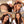 Load image into Gallery viewer, Light Brown Straight HD 13x4 Lace Front Wigs Colored Wigs And Lace Closure Wig Human Hair Wig 150% Density