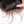Load image into Gallery viewer, Alipop Hair Straight Hair 4 Bundles with Lace Closure Virgin Remy Hair Weave 100% Unprocessed Human Natural Color